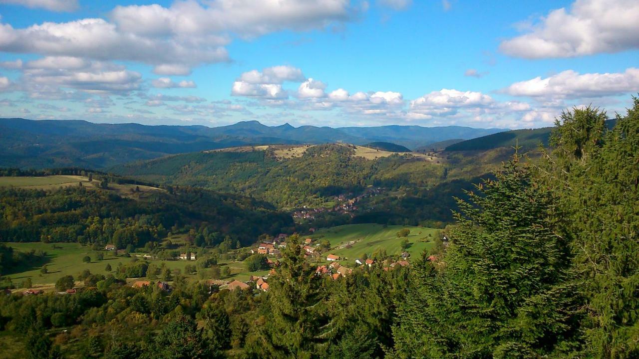 Maison Independante De Montagne En Alsace Bellefosse Bagian luar foto