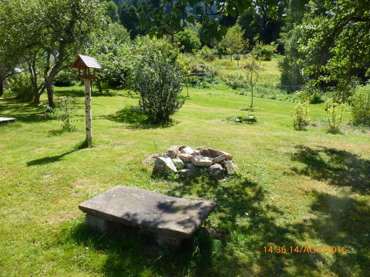 Maison Independante De Montagne En Alsace Bellefosse Bagian luar foto